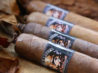 Santiago Bulldog Connecticut