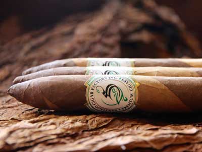 Santiago Kandy Kanes